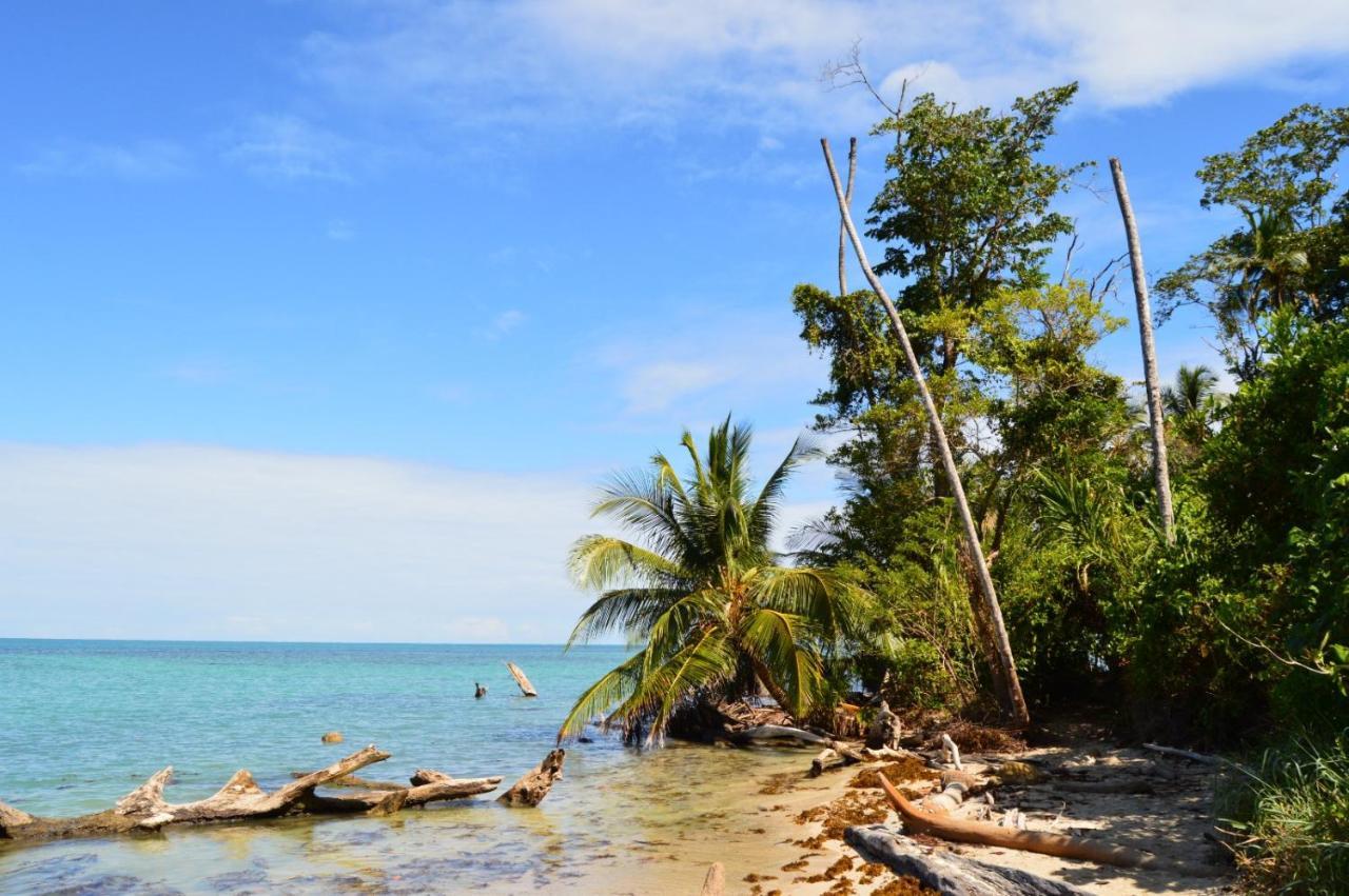 La Ruka Hostel Puerto Viejo de Talamanca المظهر الخارجي الصورة