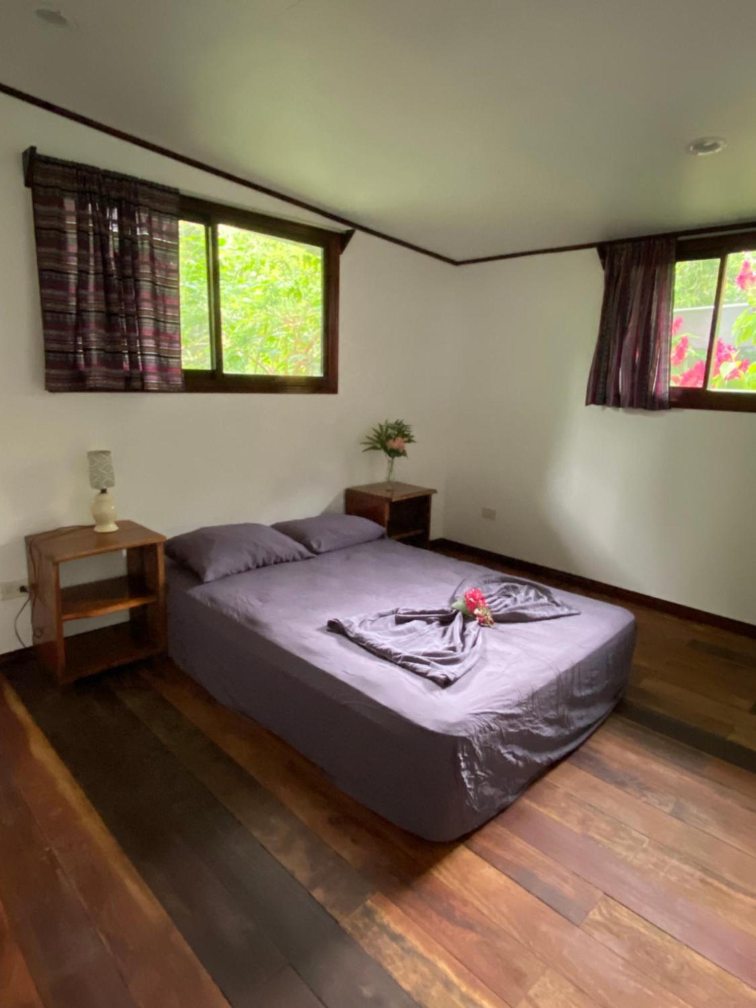 La Ruka Hostel Puerto Viejo de Talamanca الغرفة الصورة