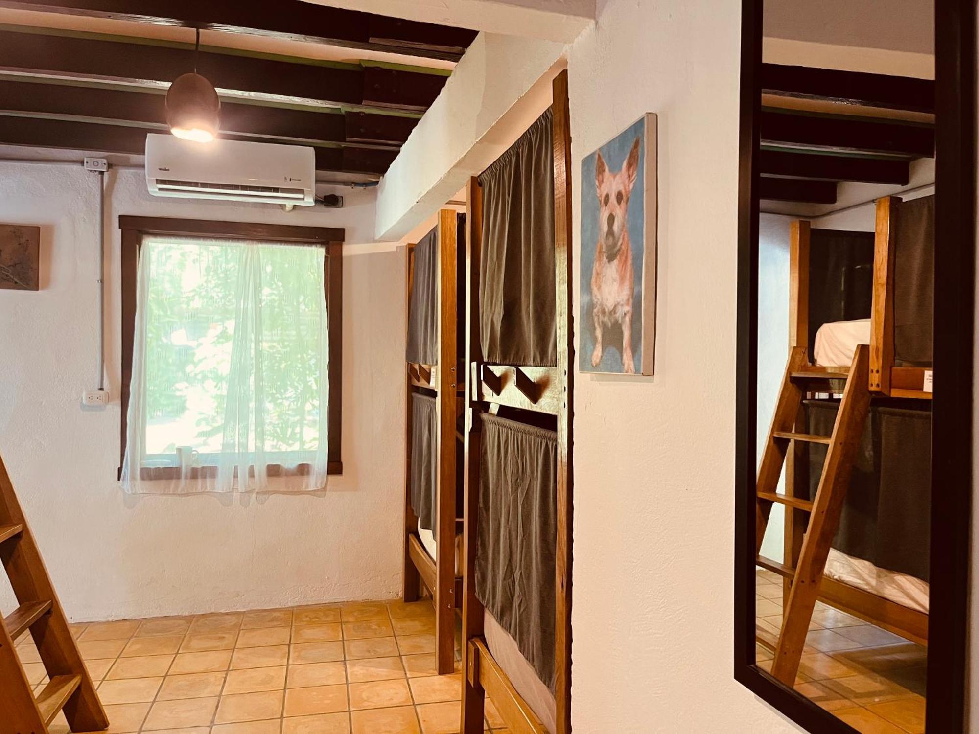La Ruka Hostel Puerto Viejo de Talamanca المظهر الخارجي الصورة