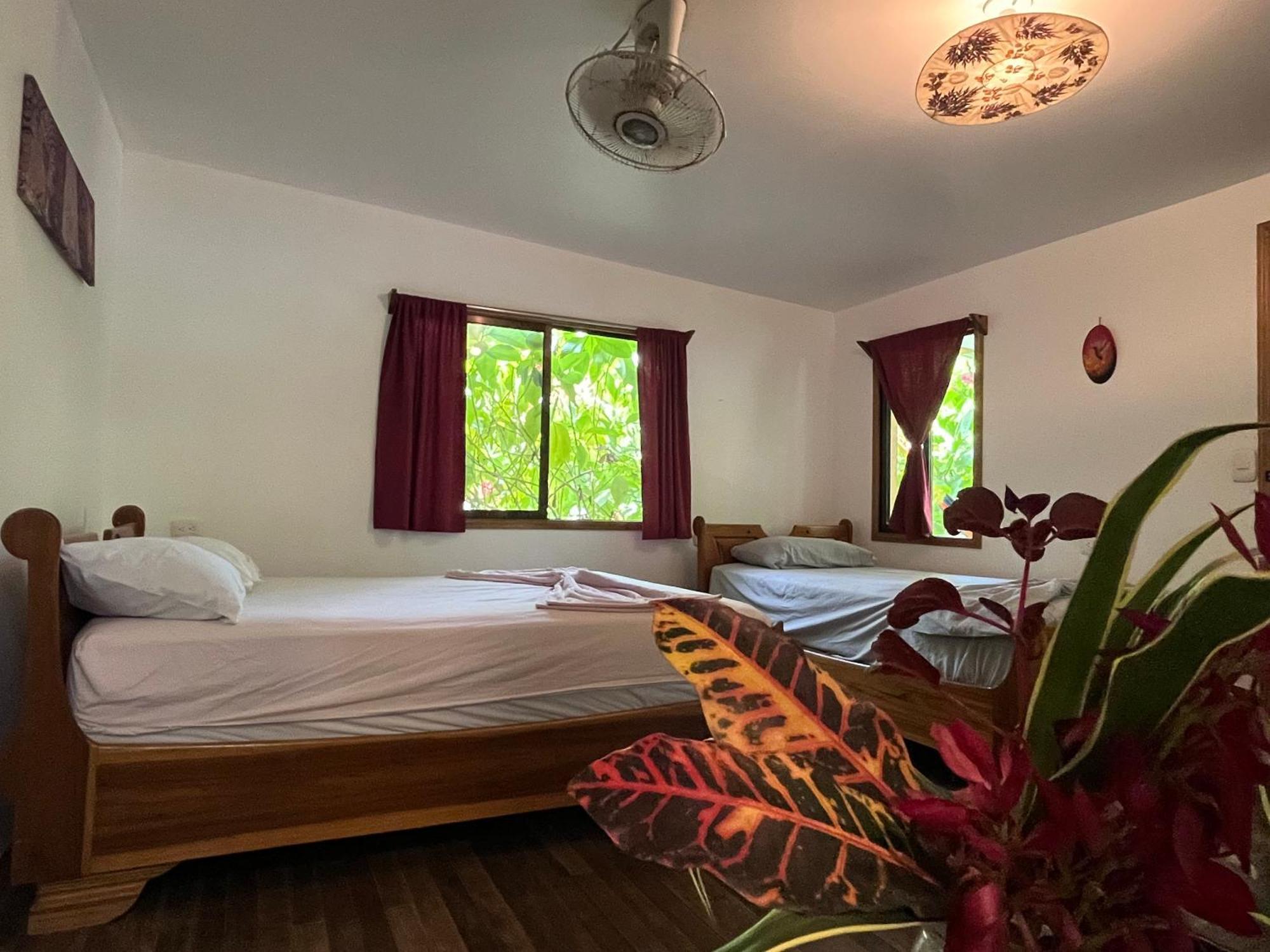 La Ruka Hostel Puerto Viejo de Talamanca المظهر الخارجي الصورة