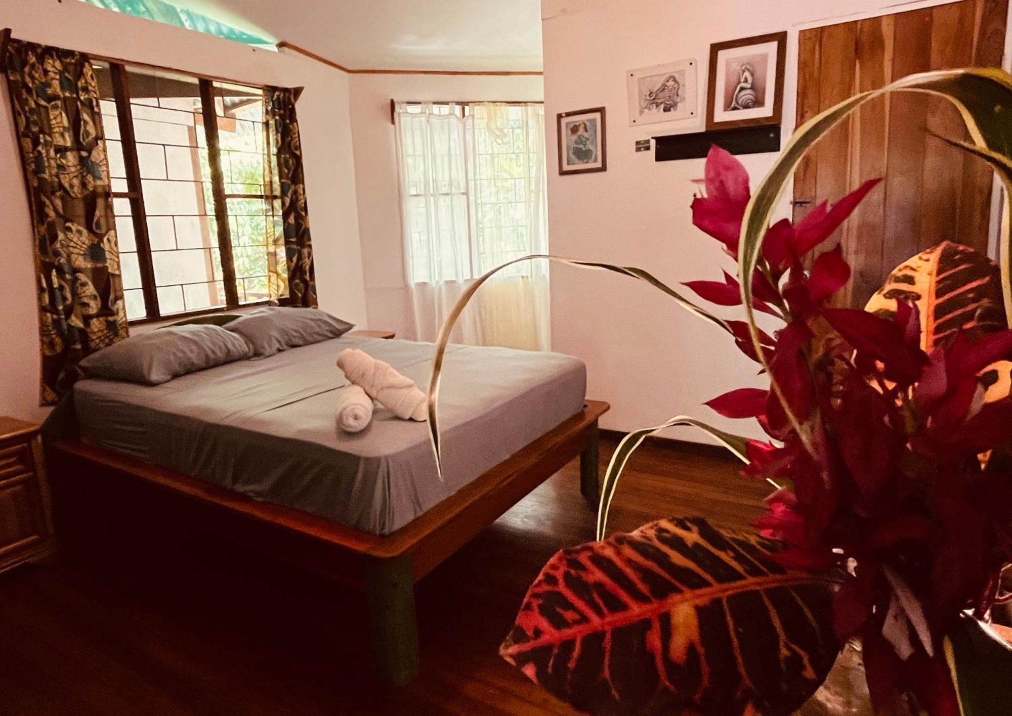 La Ruka Hostel Puerto Viejo de Talamanca المظهر الخارجي الصورة